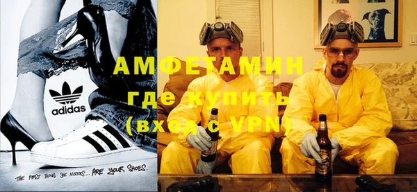 прущие грибы Аркадак