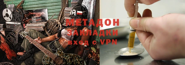 прущие грибы Аркадак