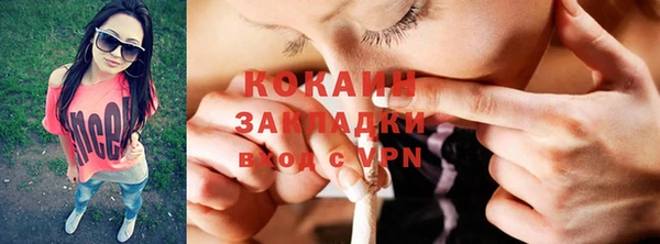 прущие грибы Аркадак